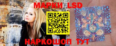 гидропоника Можайск