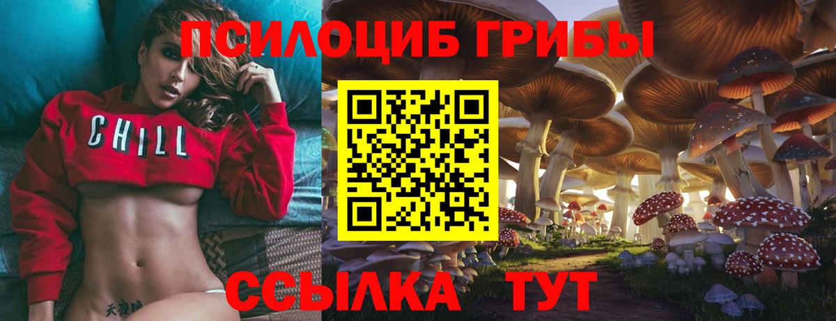 Галлюциногенные грибы мицелий Фурманов