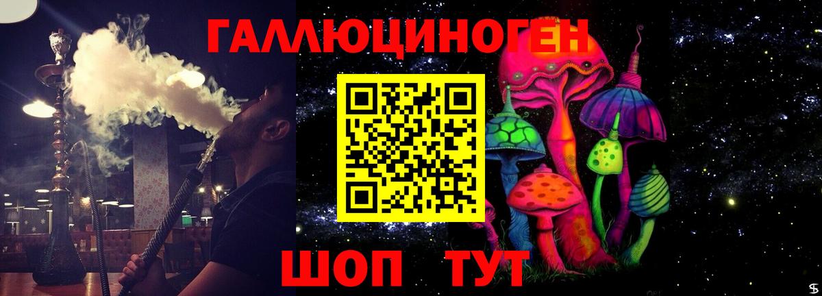 хочу наркоту  Галлюциногенные грибы GOLDEN TEACHER  Фурманов  Вход с VPN  Галлюциногенные грибы Psilocybe 